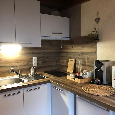 Duplex - Proche De Gerardmer Ле-Толі Екстер'єр фото