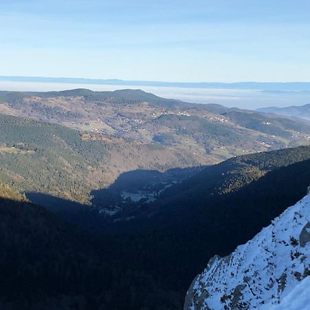 Duplex - Proche De Gerardmer Ле-Толі Екстер'єр фото