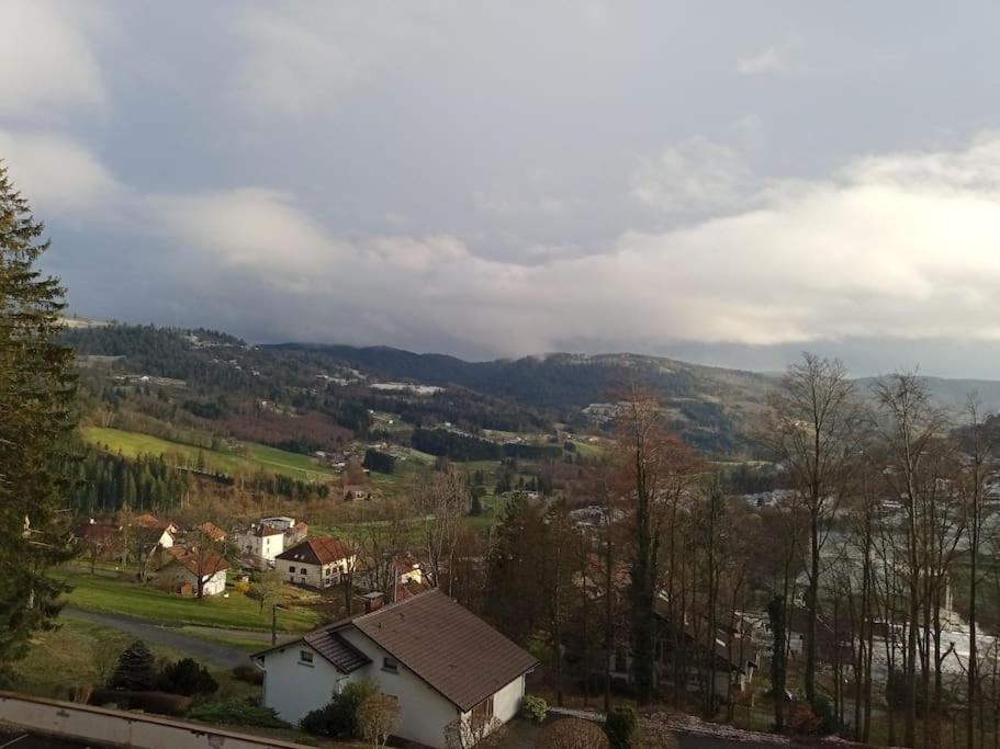 Duplex - Proche De Gerardmer Ле-Толі Екстер'єр фото