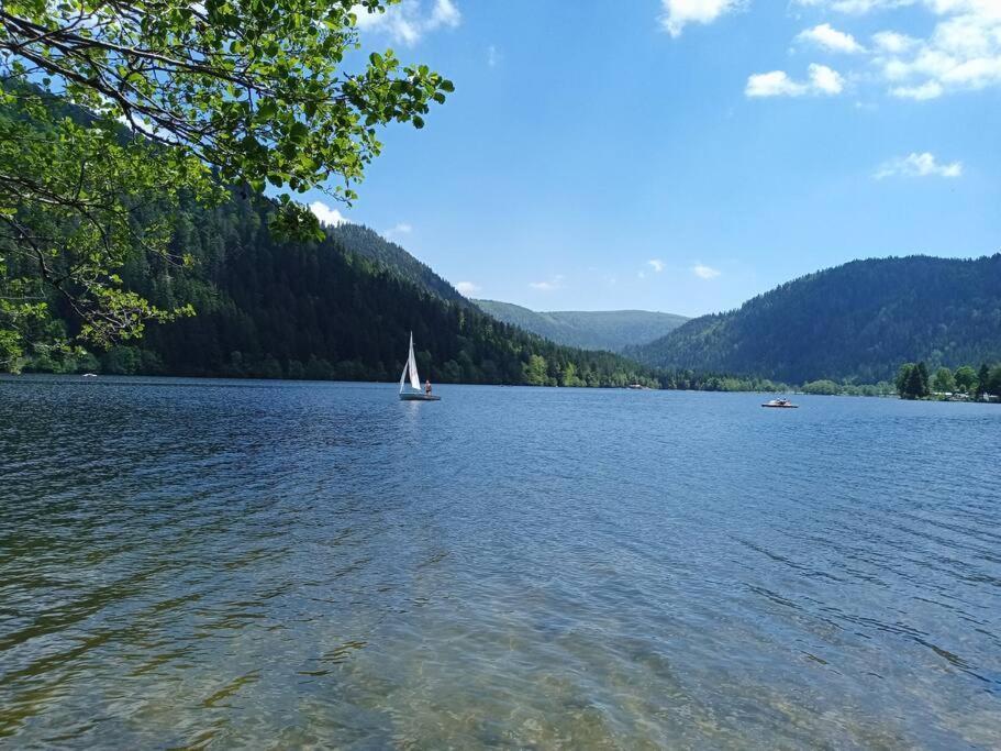 Duplex - Proche De Gerardmer Ле-Толі Екстер'єр фото