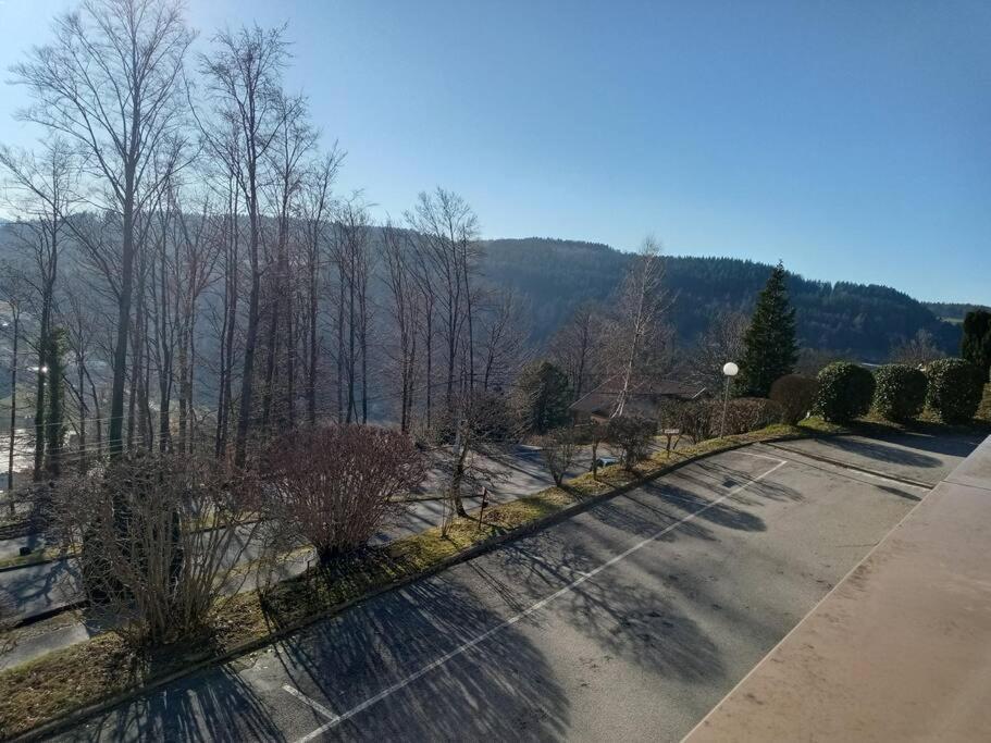 Duplex - Proche De Gerardmer Ле-Толі Екстер'єр фото