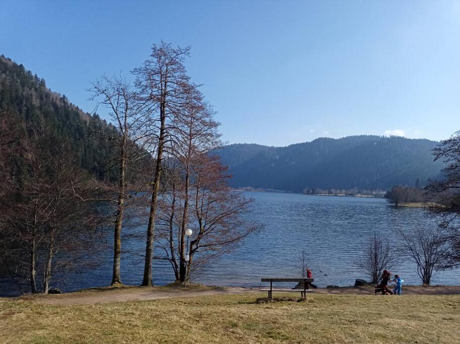 Duplex - Proche De Gerardmer Ле-Толі Екстер'єр фото